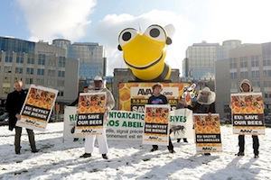 Bei Wind und Wetter setzen wir uns für die Bienen ein