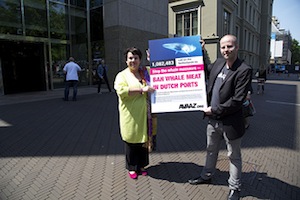 Remise de notre appel pour sauver les baleines rorquals 